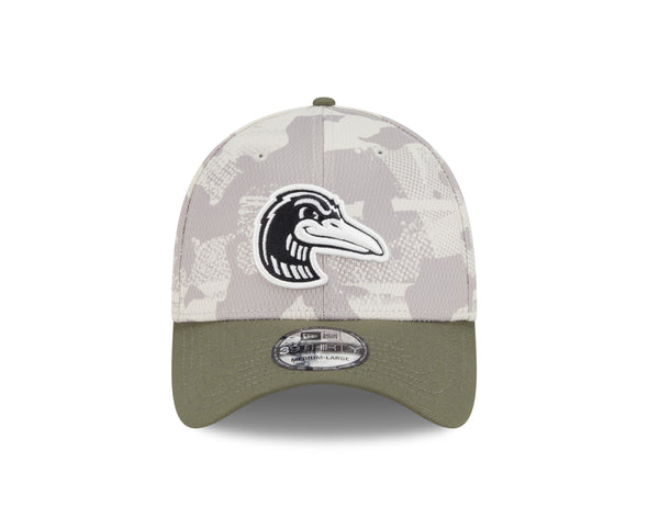 Great Lakes Loons 2025 New Era 39THIRTY Flex Fit Cap