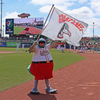 Great Lakes Loons Banner Flag