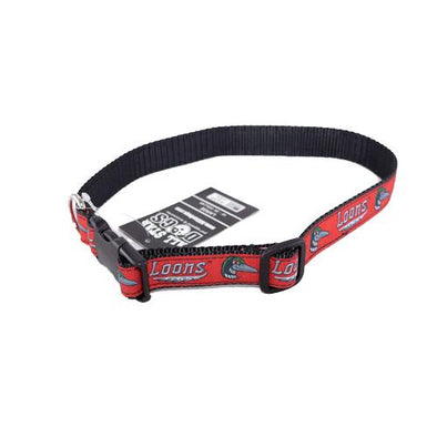 Great Lakes Loons Dog Collar